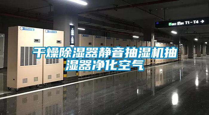 国产精品探花在线观看 干燥除湿器静音抽湿机抽湿器净化空气
