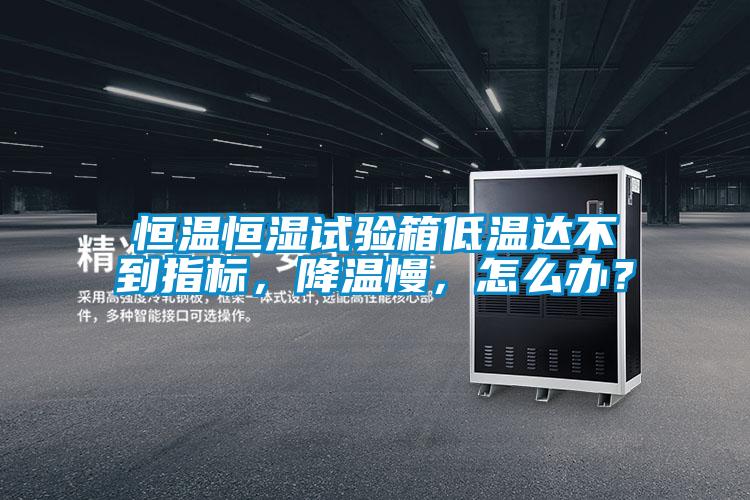 国产精品欧美激情视频 恒温恒湿试验箱低温达不到指标，降温慢，怎么办？
