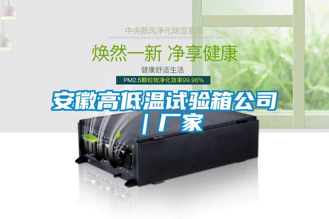 国产精品探花在线观看 安徽高低温试验箱公司｜厂家
