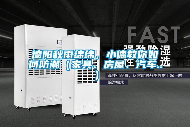 国产精品三级在线观看 德阳秋雨绵绵，小德教你如何防潮（家具、房屋、汽车..）