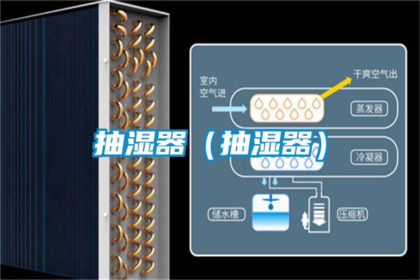 国产精品探花在线观看 抽湿器（抽湿器）