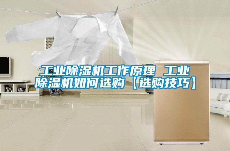 国产精品欧美激情视频 工业除湿机工作原理 工业除湿机如何选购【选购技巧】