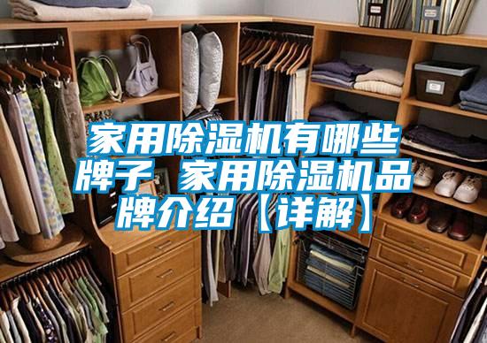 国产精品欧美激情视频 家用除湿机有哪些牌子 家用除湿机品牌介绍【详解】