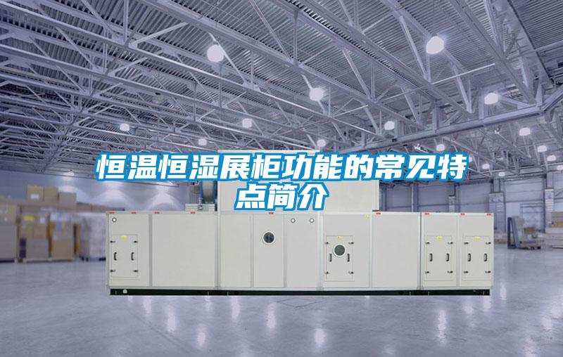 国产精品欧美激情视频 恒温恒湿展柜功能的常见特点简介