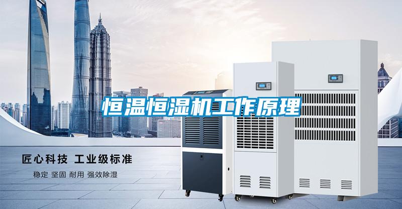 国产精品三级在线观看 恒温恒湿机工作原理