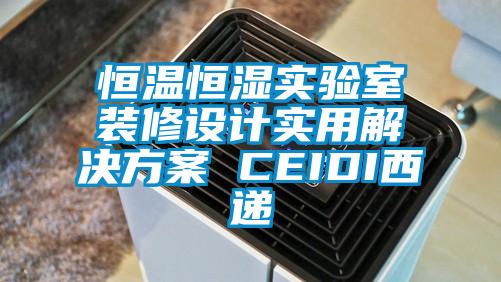 国产精品探花在线观看 恒温恒湿实验室装修设计实用解决方案 CEIDI西递