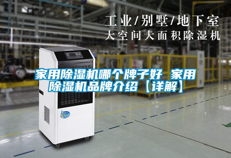 国产精品探花在线观看 家用除湿机哪个牌子好 家用除湿机品牌介绍【详解】