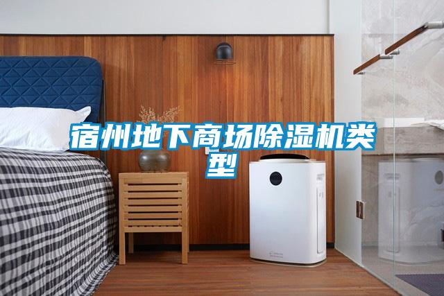 国产精品三级在线观看 宿州地下商场除湿机类型