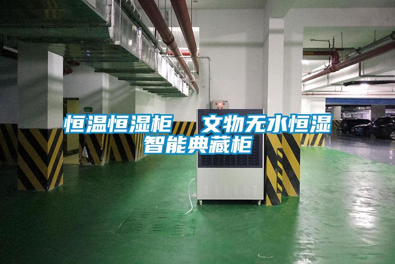 国产精品欧美激情视频 恒温恒湿柜  文物无水恒湿智能典藏柜
