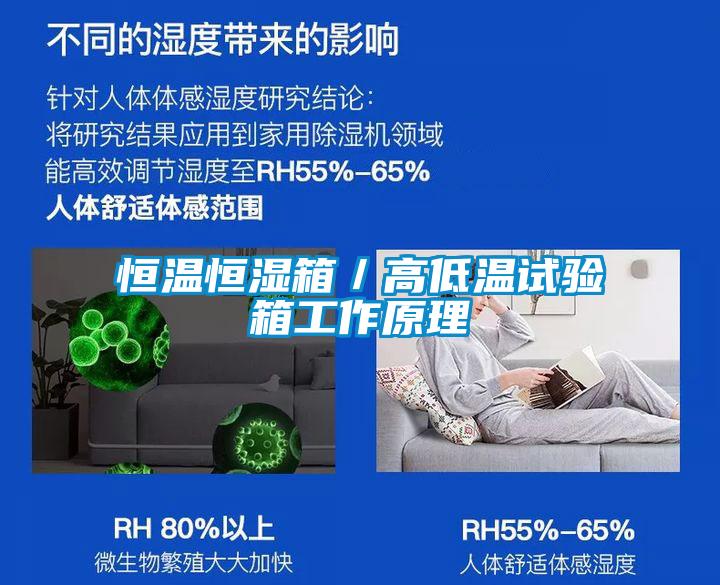 国产精品欧美激情视频 恒温恒湿箱／高低温试验箱工作原理