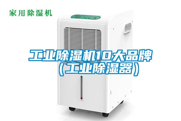 国产精品探花在线观看 工业除湿机10大品牌（工业除湿器）