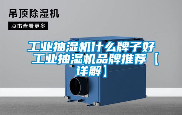 国产精品探花在线观看 工业抽湿机什么牌子好 工业抽湿机品牌推荐【详解】