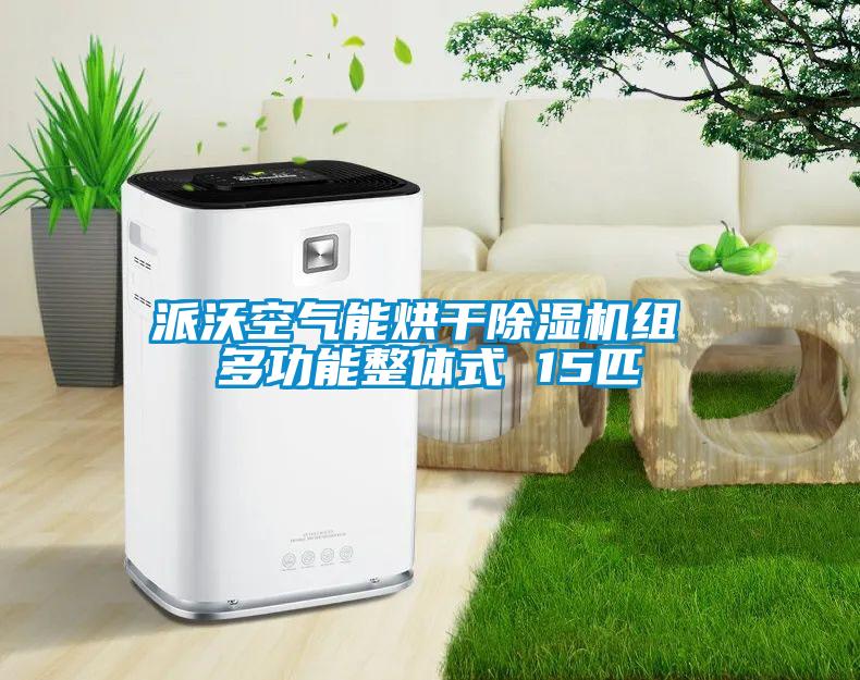 国产精品三级在线观看 派沃空气能烘干除湿机组 多功能整体式 15匹