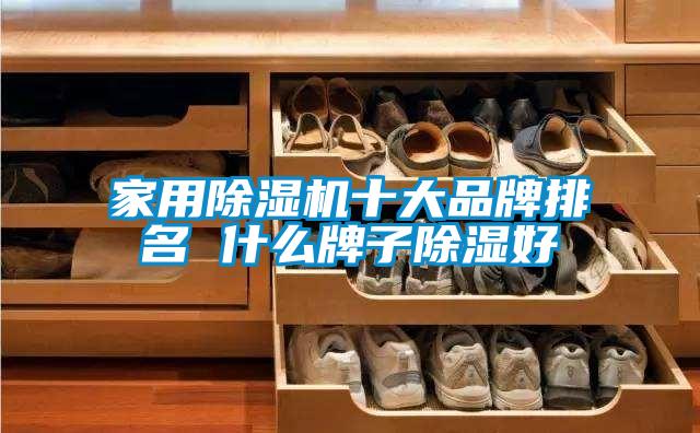国产精品三级在线观看 家用除湿机十大品牌排名 什么牌子除湿好