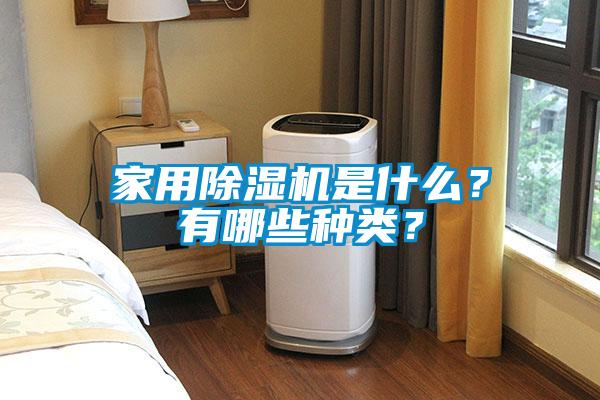 国产精品三级在线观看 家用除湿机是什么？有哪些种类？