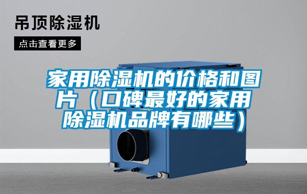 国产精品三级在线观看 家用除湿机的价格和图片（口碑最好的家用除湿机品牌有哪些）