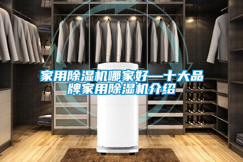 国产精品欧美激情视频 家用除湿机哪家好—十大品牌家用除湿机介绍