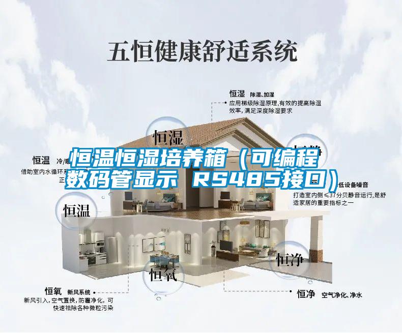 国产精品三级在线观看 恒温恒湿培养箱（可编程 数码管显示 RS485接口）