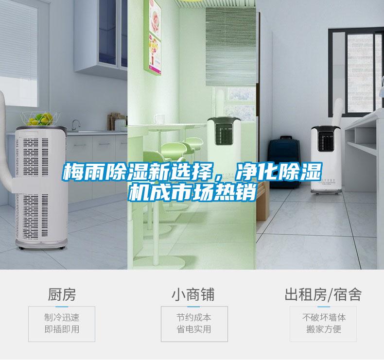 国产精品欧美激情视频 梅雨除湿新选择，净化除湿机成市场热销