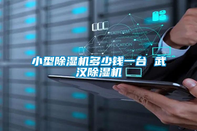 国产精品三级在线观看 小型除湿机多少钱一台 武汉除湿机