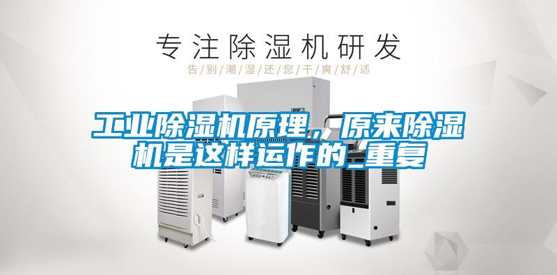 国产精品三级在线观看 工业除湿机原理，原来除湿机是这样运作的_重复