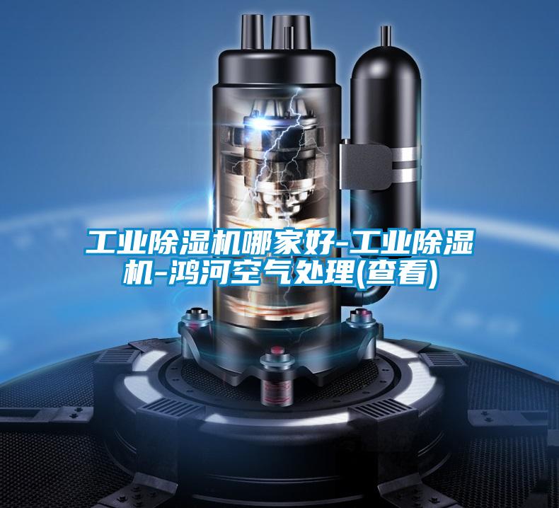 国产精品三级在线观看 工业除湿机哪家好-工业除湿机-鸿河空气处理(查看)