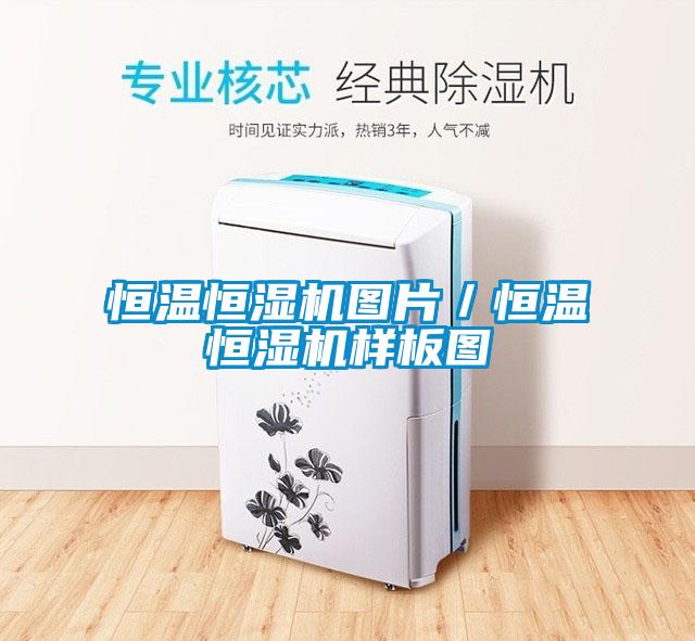 国产精品三级在线观看 恒温恒湿机图片／恒温恒湿机样板图