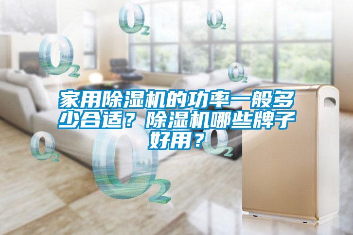 国产精品欧美激情视频 家用除湿机的功率一般多少合适？除湿机哪些牌子好用？