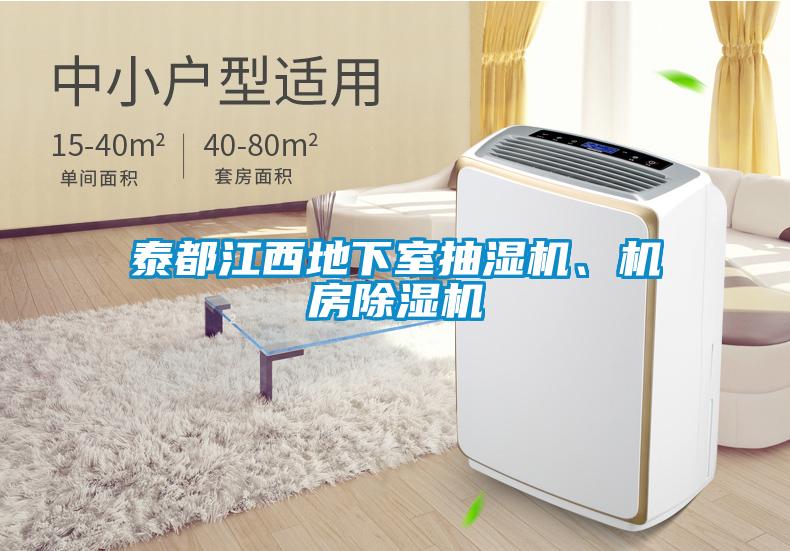 国产精品探花在线观看 泰都江西地下室抽湿机、机房除湿机