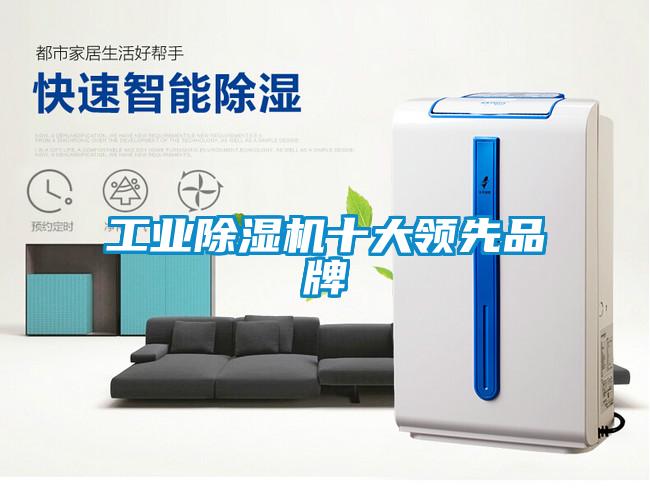 国产精品欧美激情视频 工业除湿机十大领先品牌