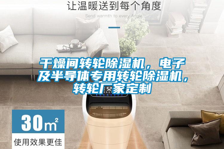 国产精品欧美激情视频 干燥间转轮除湿机，电子及半导体专用转轮除湿机，转轮厂家定制