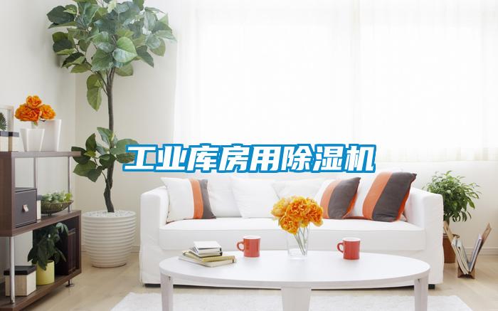 国产精品欧美激情视频 工业库房用除湿机