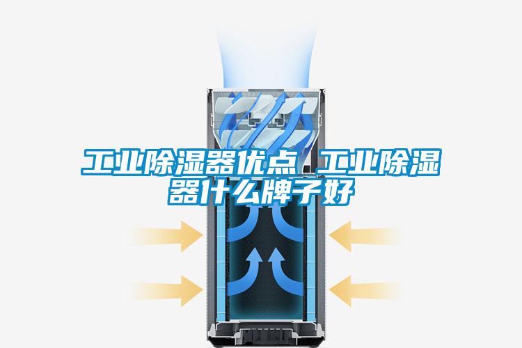 国产精品三级在线观看 工业除湿器优点 工业除湿器什么牌子好