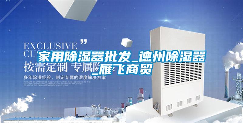 国产精品欧美激情视频 家用除湿器批发_德州除湿器_雁飞商贸