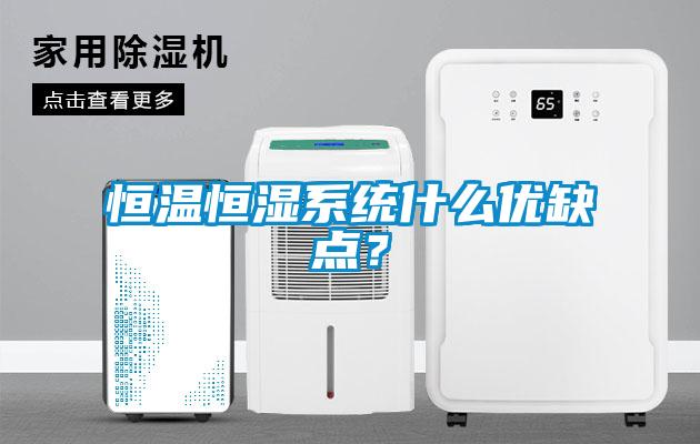 国产精品三级在线观看 恒温恒湿系统什么优缺点？
