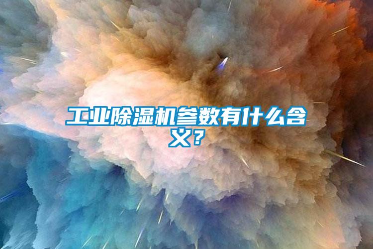 国产精品探花在线观看 工业除湿机参数有什么含义？