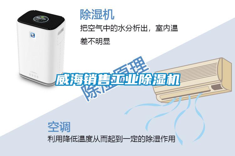 国产精品欧美激情视频 威海销售工业除湿机