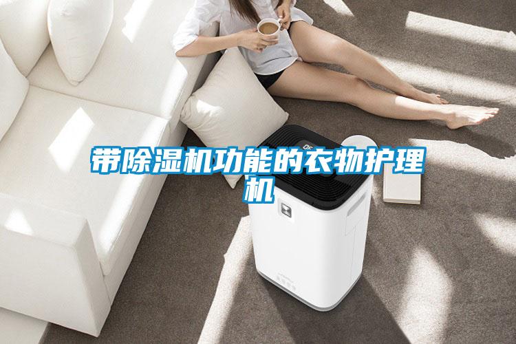 国产精品欧美激情视频 带除湿机功能的衣物护理机