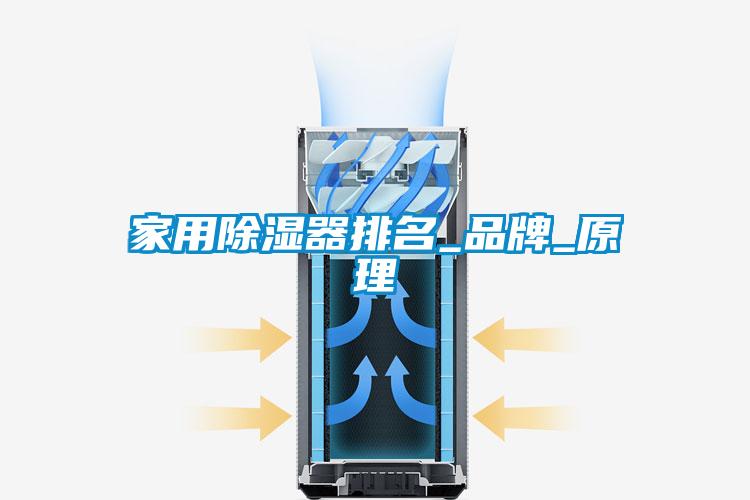 国产精品三级在线观看 家用除湿器排名_品牌_原理