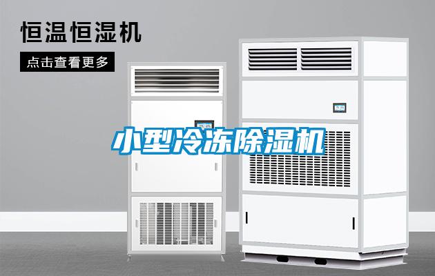 国产精品三级在线观看 小型冷冻除湿机