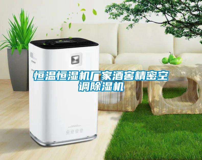 国产精品三级在线观看 恒温恒湿机厂家酒窖精密空调除湿机