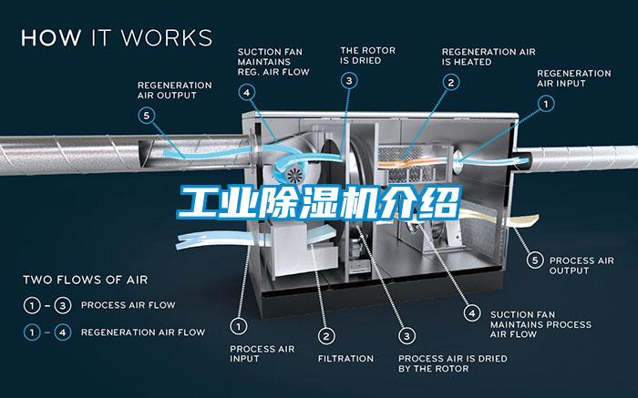 国产精品欧美激情视频 工业除湿机介绍