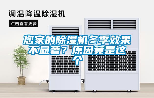 国产精品欧美激情视频 您家的除湿机冬季效果不显著？原因竟是这个