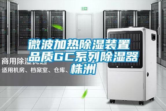国产精品三级在线观看 微波加热除湿装置 品质GC系列除湿器株洲
