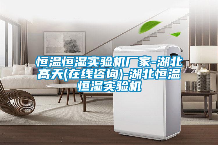 国产精品欧美激情视频 恒温恒湿实验机厂家-湖北高天(在线咨询)-湖北恒温恒湿实验机