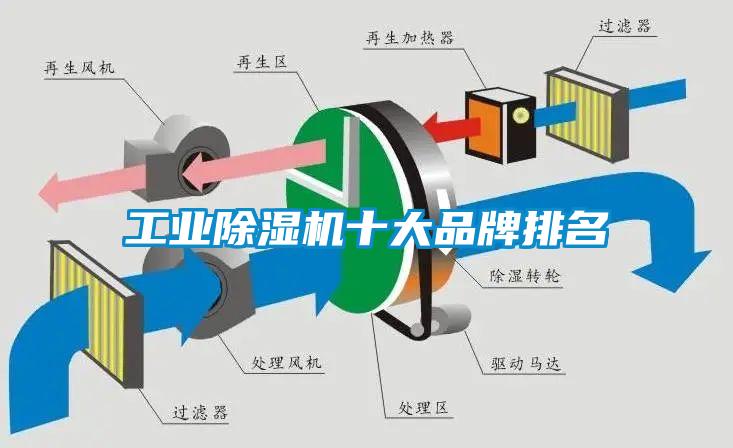 国产精品三级在线观看 工业除湿机十大品牌排名