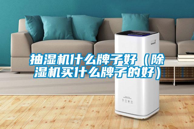 国产精品三级在线观看 抽湿机什么牌子好（除湿机买什么牌子的好）