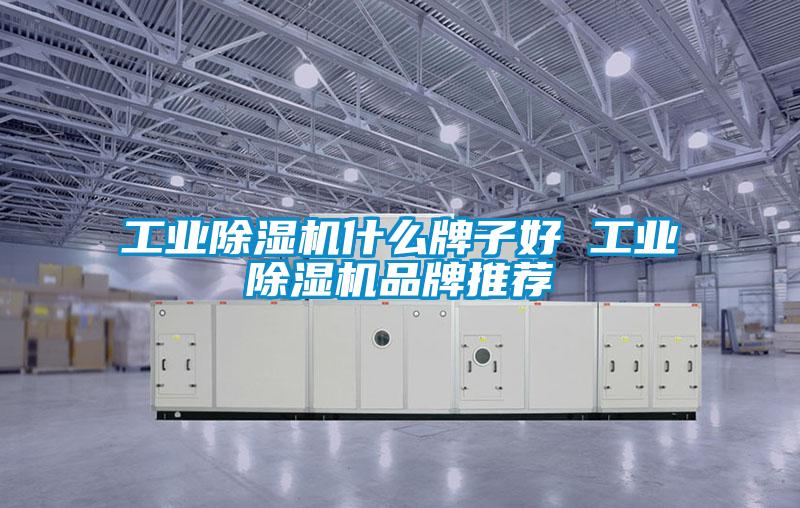 国产精品欧美激情视频 工业除湿机什么牌子好 工业除湿机品牌推荐