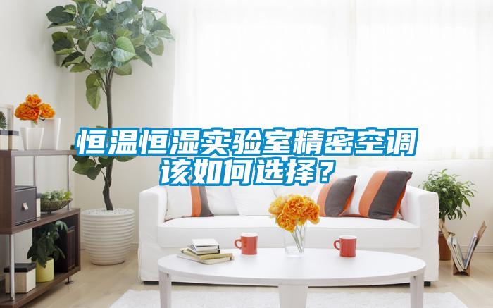 国产精品三级在线观看 恒温恒湿实验室精密空调该如何选择？