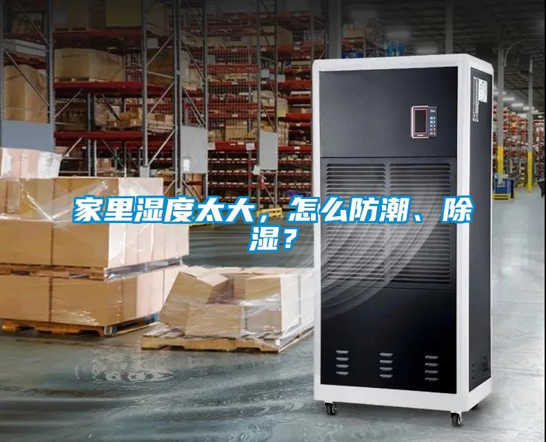 国产精品探花在线观看 家里湿度太大，怎么防潮、除湿？